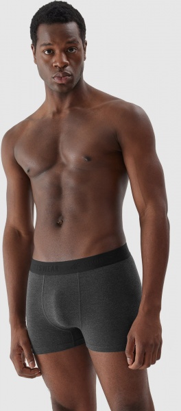 Трусы 4F BOXER SHORTS M027 (2PACK) 4FAW23UBXSM027-92S р.2XL разноцветный