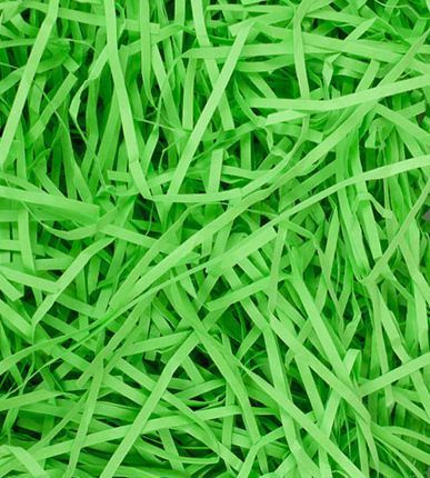 Наполнитель бумажный Бумагия Экофиллер 50 г зеленый 