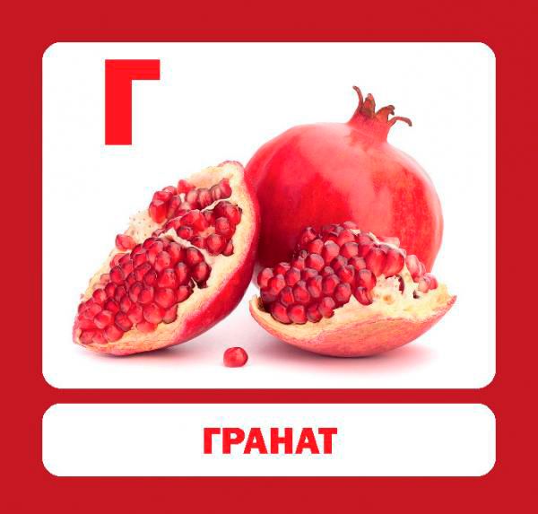 Книга «Навчальний посібник. Абетка»