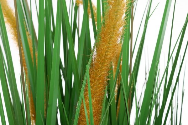 Камыш искусственный желтый 70 см JYS20-20-6292