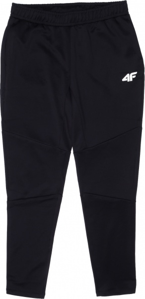 Брюки 4F S4L21-SPMTR050-20S р. 2XL