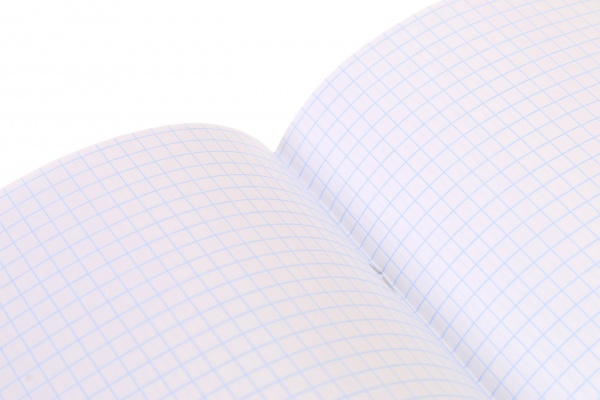 Тетрадь школьная Anime скоба 96 листов в клеточку Мечты сбываются