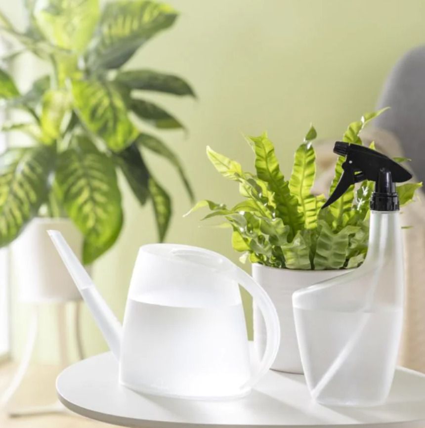 Лейка Scheurich 1,5 л жемчужина