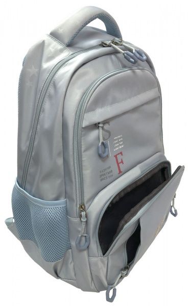 Ранец школьный Safari 2 отделения 21-195L-1