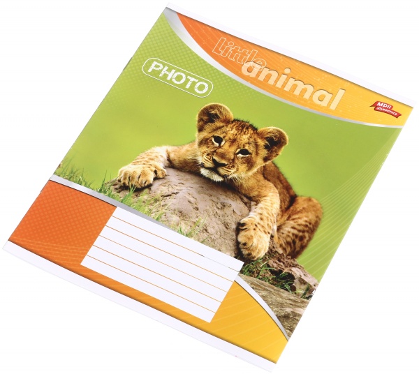 Зошит шкільний уф-лак 12 аркушів у лінійку в асортименті Мрії збуваються