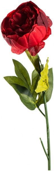 Растение искусственное Пион GT0617475-C