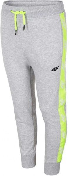 Брюки 4F HJL20-JSPMD002 р. 146 серый
