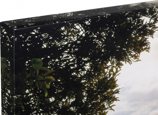 Картина 60x150 см Styler CA-11968 