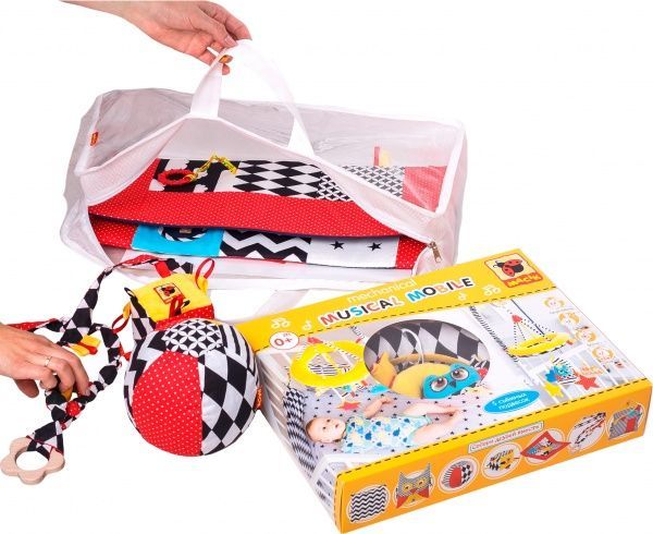 Развивающий набор Масик Baby Box Play МС 030502-01