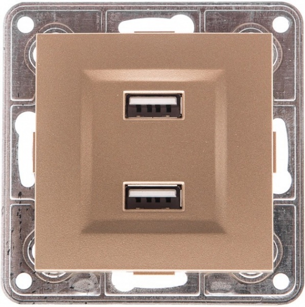 Розетка USB подвійна LXL Tesla без шторок без кришки бронзовий TLXL3533A champagne