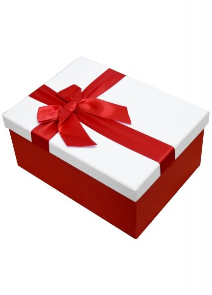 Коробка подарочная прямоугольная с бантом 25х18х10 см