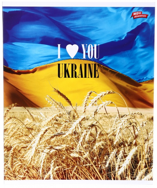 Зошит шкільний 48 аркушів у клітинку в асортименті Мрії збуваються