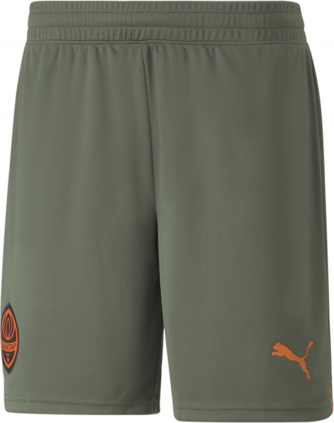 Шорты Puma FCSD Shorts Replica 76563903 р. S зеленый