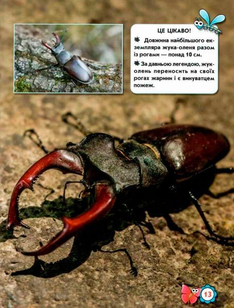 Книга Тамара Протасовицкая «Світ навколо нас. Комахи» 978-966-9369-20-8