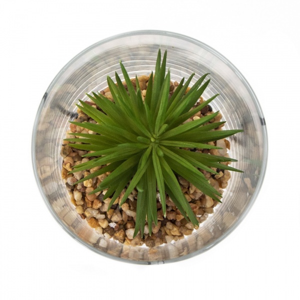 Флорариум Суккулент в стеклянной вазе 190713 10x12 см