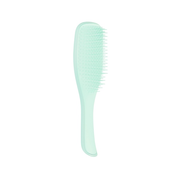 Щетка для волос Tangle Teezer The Wet Detangler Fine & Fragile Sea Spray Green