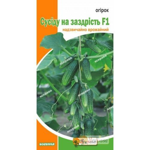 Семена Яскрава огурец Соседу на зависть F1 0,5г (4823069812690)