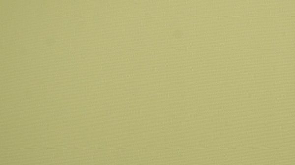 Ролета термо (blackout) Gardinia 61,5x150 см яблочный 