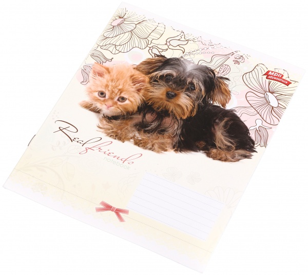 Зошит шкільний уф-лак 12 аркушів у лінійку в асортименті Мрії збуваються