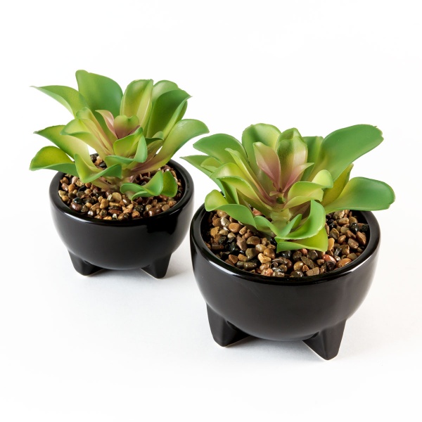 Растение декоративное DH-FLOWERS-14 M GREEN/BLACK MVM