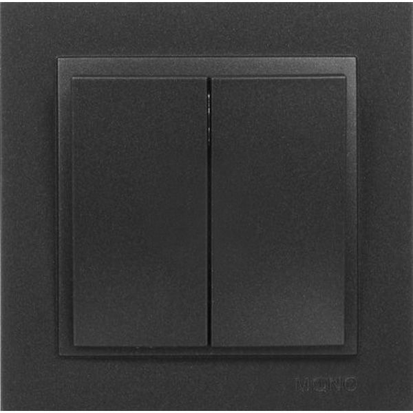 Вимикач двоклавішний Mono Despina без підсвітки 10 А 250В графітовий 102-202025-102