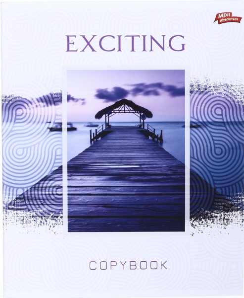 Тетрадь школьная 18 листов в клеточку в ассортименте Мечты сбываются