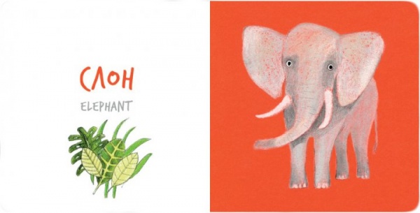 Книга Екатерина Таберко «Африканські тварини» 978-617-7395-31-6