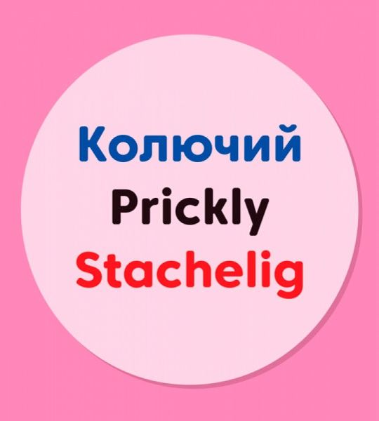 Словарь-справочник «Книга словарь в картинках: а ты какой» 978-966-7491-20-8