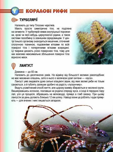 Книга «Мешканці морів та океанів» 978-617-695-031-8