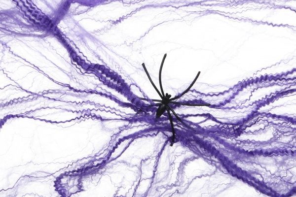 Подвесной декор Fun Паутина фиолетовая с двумя пауками 20 г YES