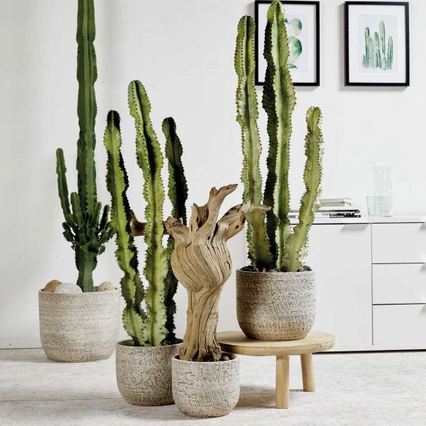 Кашпо керамічне Soendgen Portland круглий 20 л темно-коричневий 