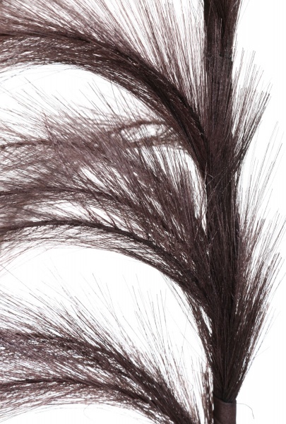 Рослина декоративна гілка з пір'ям сіро-коричнева 130 см