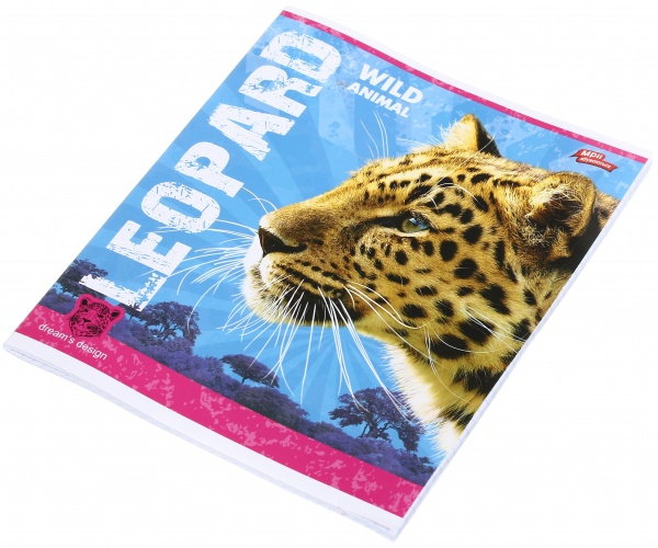 Тетрадь школьная уф-лак 48 листов в клеточку в ассортименте Мечты сбываются