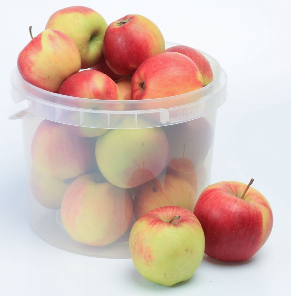 Відро Poliplast з пластиковою ручкою (харчовий пластик) 5 л прозорий 