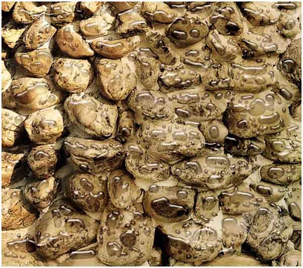 Захисне покриття для фасадів Sika Sikagard WS 3 л