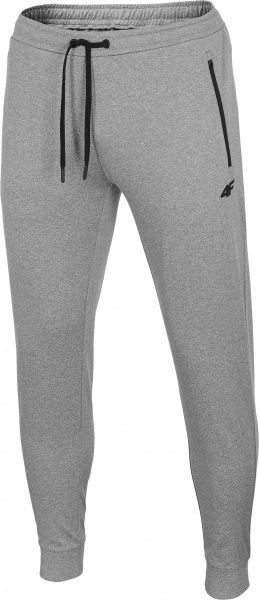 Брюки 4F NOSD4-SPMTR300-25M р. 2XL серый