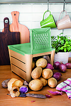 Контейнер для зберігання овочів бежевий/зелений Snips