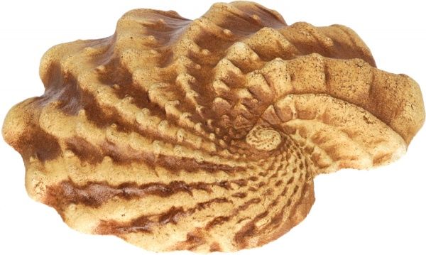 Декоративный элемент Наш шлях Третий дар Посейдона