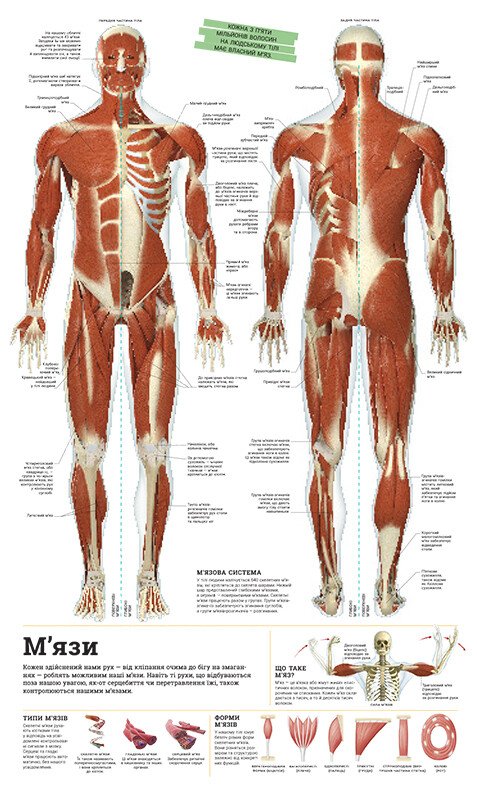 Книга «Дивипедія» 978-617-09-9237-6