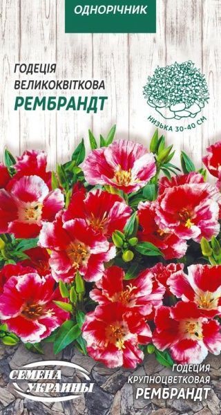 Насіння Семена Украины годеція Великоквіткова Рембрант 0,2 г