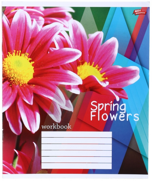 Тетрадь школьная уф-лак 18 листов в клеточку в ассортименте Мечты сбываются