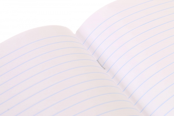 Тетрадь школьная Space скоба 12 листов в линию Мечты сбываются