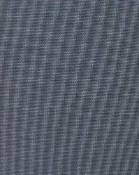 Ролета стандарт Gardinia Лайт 60x170 см темно-серая 