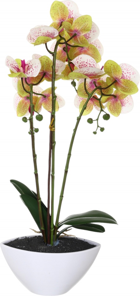 Цветок искусственный Орхидея Real Touch белая с розовой сердцевинкой в гощике 51 см
