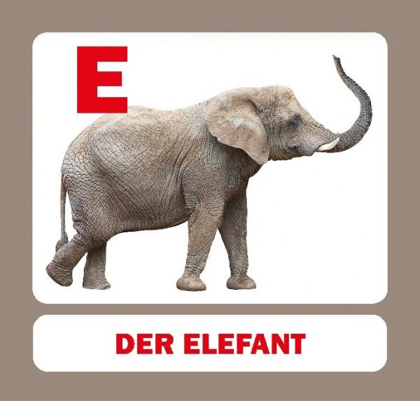 Книга «Навчальний посібник. Абетка німецька»