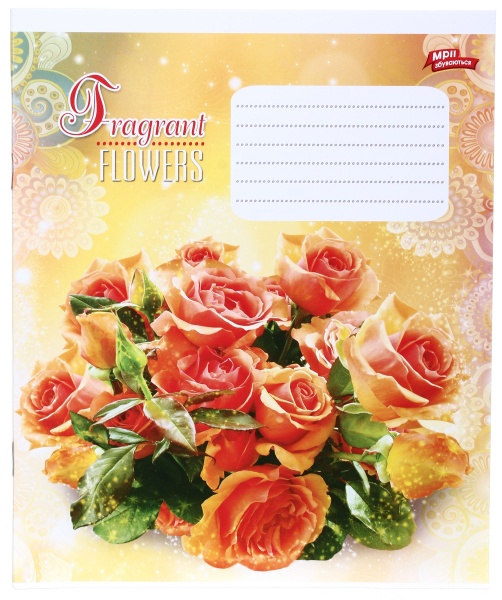 Зошит шкільний 24 аркуша у клітинку в асортименті Мрії збуваються