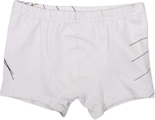 Труси для хлопчиків боксерки Donella р.146-152 білий із принтом 75004 