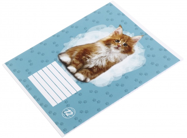 Зошит шкільний Kitten 12 аркушів лінія Nota Bene