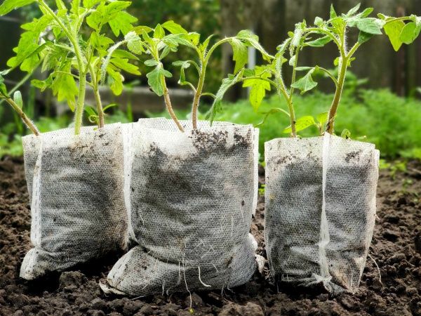 Мешочки для рассады Agrolife 20х33 см 20 шт.