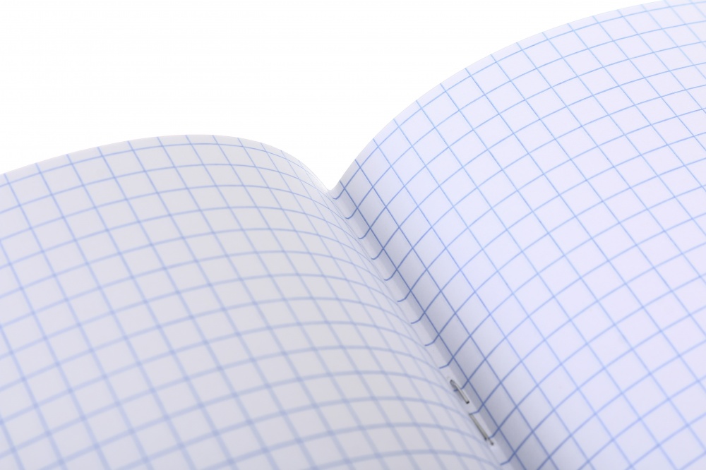 Тетрадь школьная Физика 48 листов в клеточку Nota Bene